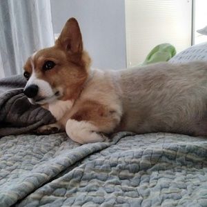 Meet your Posher, Deb